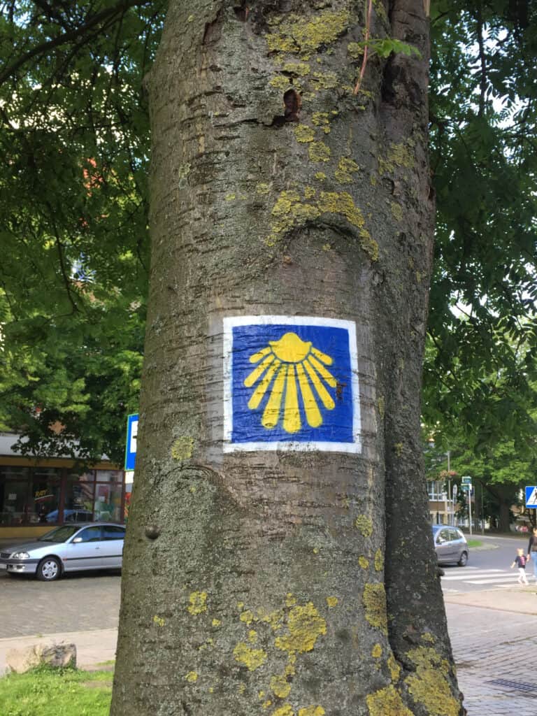 Camino marking of the Pomeranian Way of St. James found on a tree in Szczecin nearby the Cathedral Basilica of St. James the Apostle