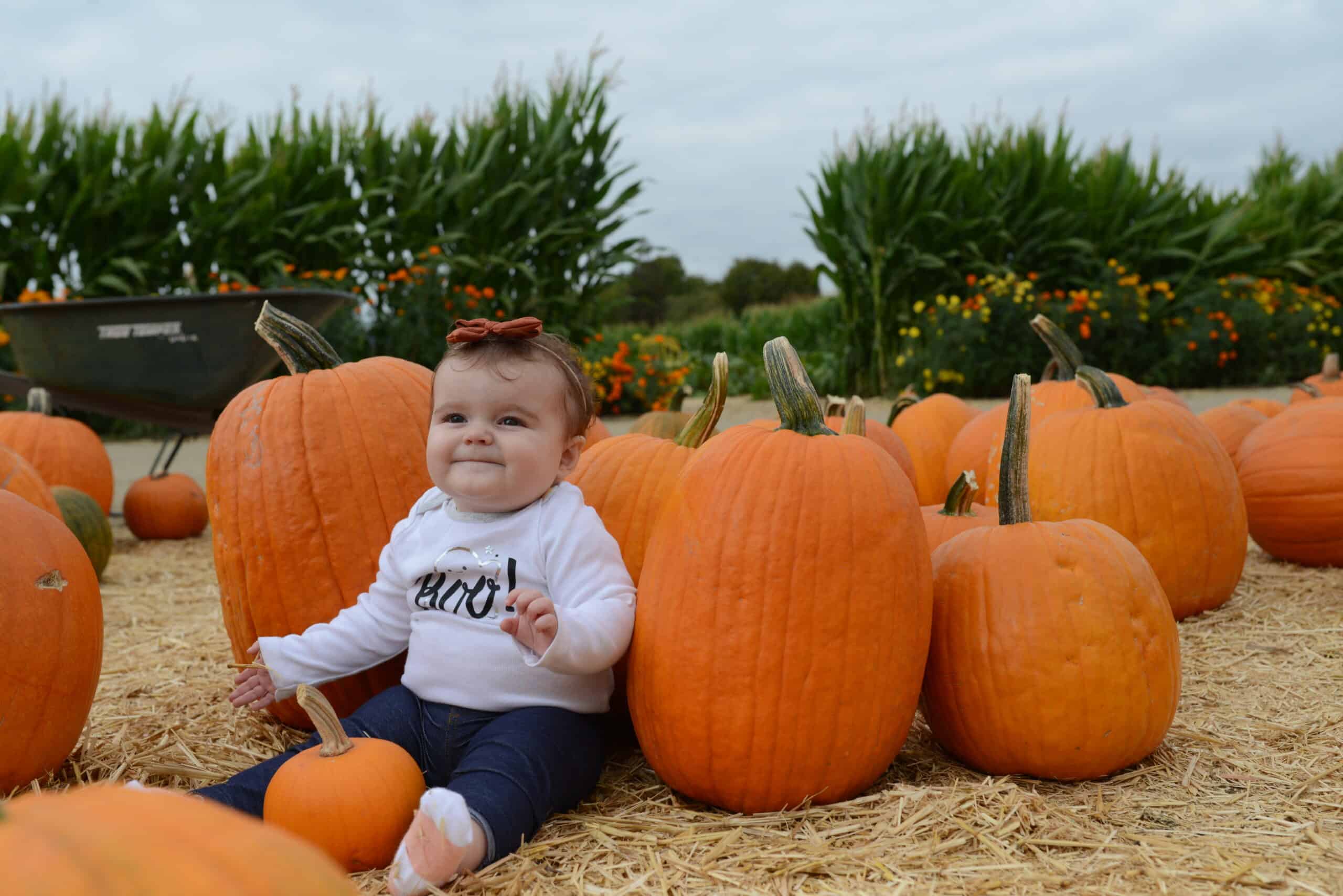 Our Halloween Guide – Los Angeles and Beyond includes Underwood Farms